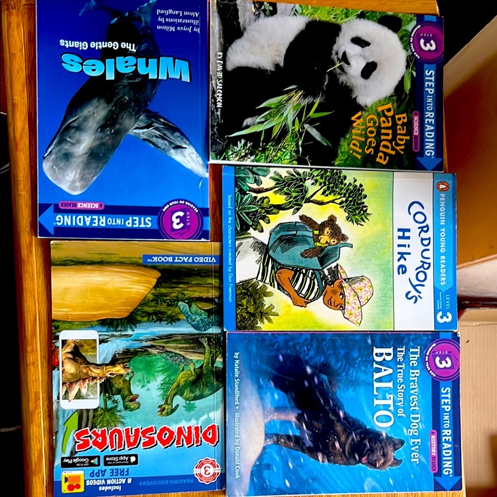 Level 3 Kids Book Set:

Five books as shown 

EUC